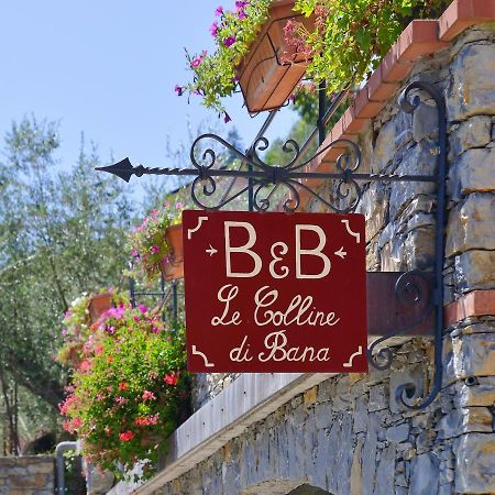 B&B Le Colline Di Bana 卡莫利 外观 照片