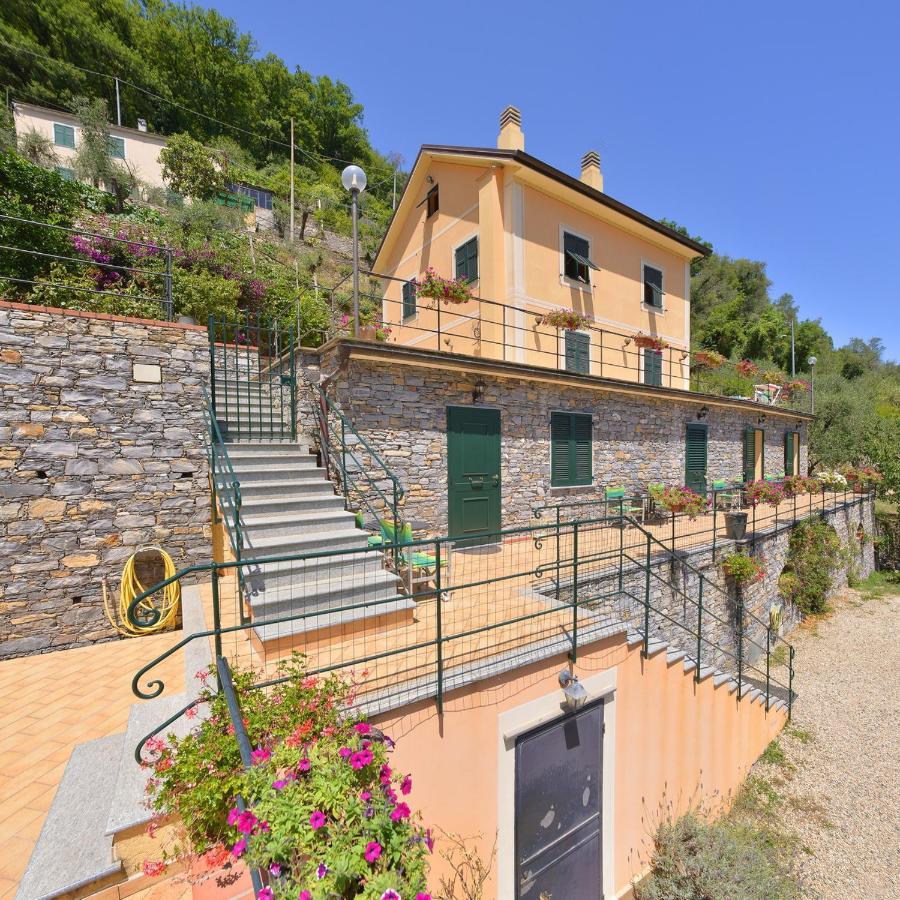 B&B Le Colline Di Bana 卡莫利 外观 照片