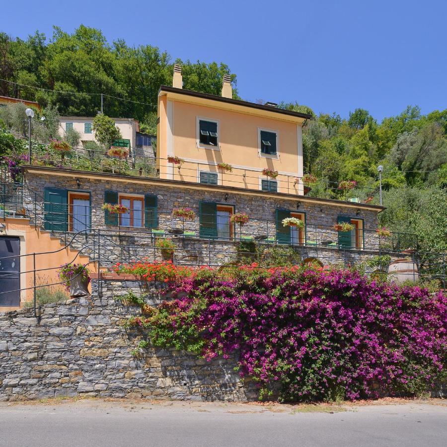 B&B Le Colline Di Bana 卡莫利 外观 照片