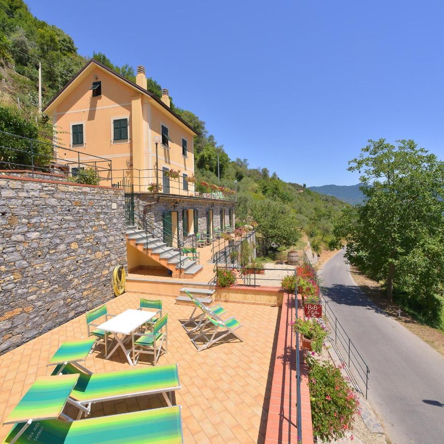 B&B Le Colline Di Bana 卡莫利 外观 照片