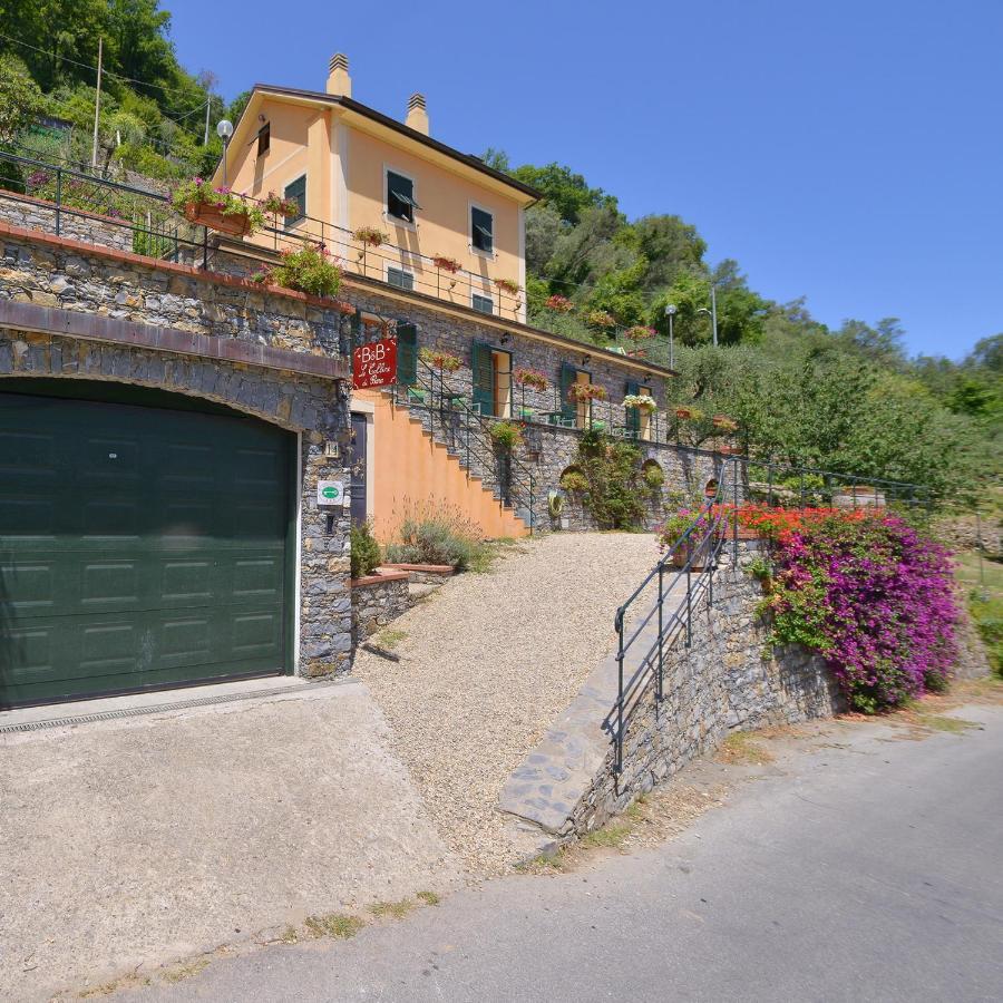 B&B Le Colline Di Bana 卡莫利 外观 照片